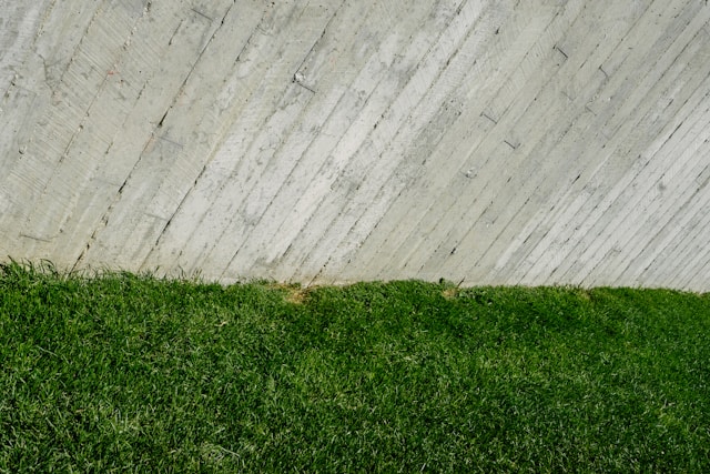 5 Signs Your Lawn Needs Reseeding and How to Address Them